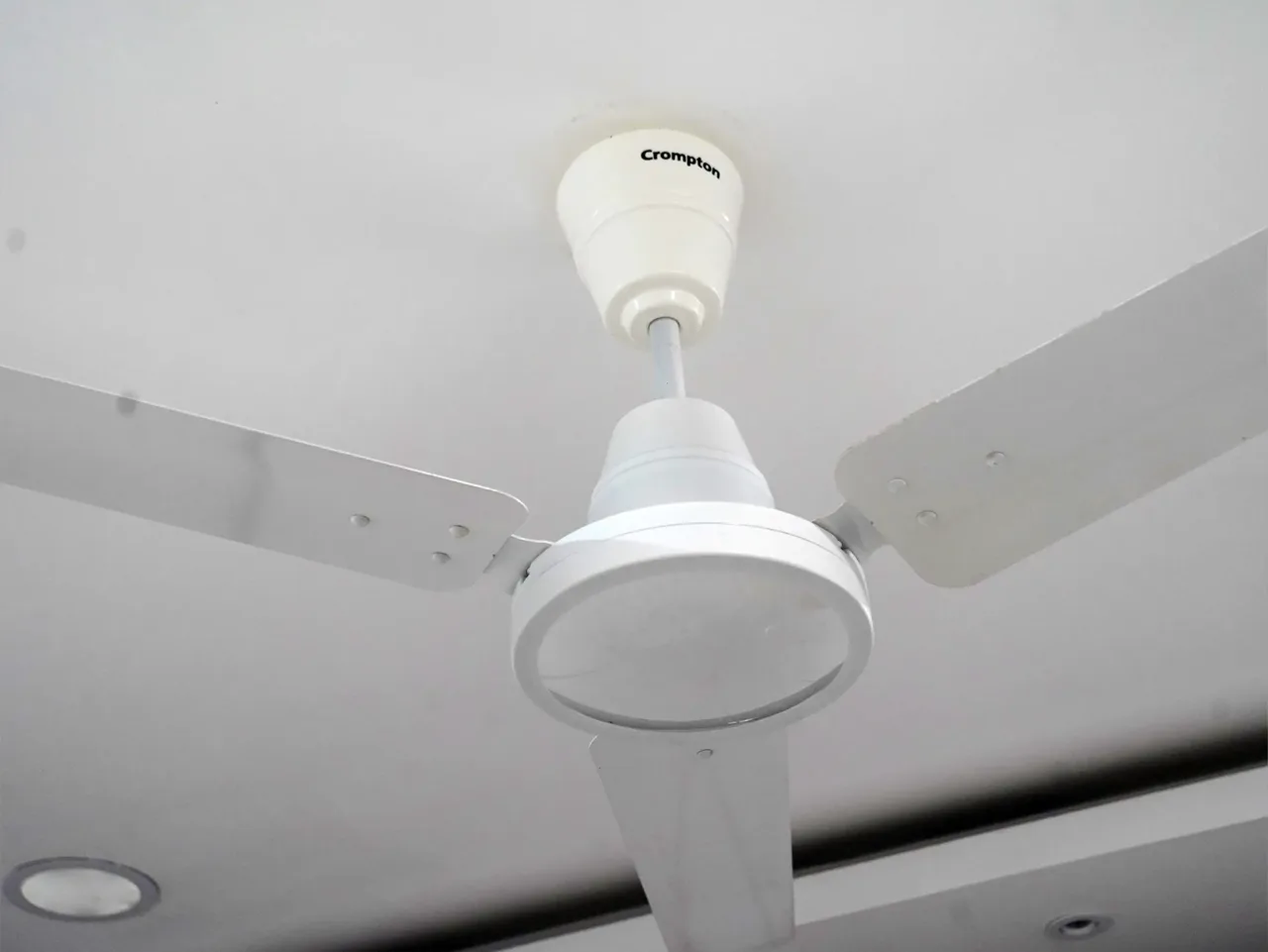 best ceiling fan